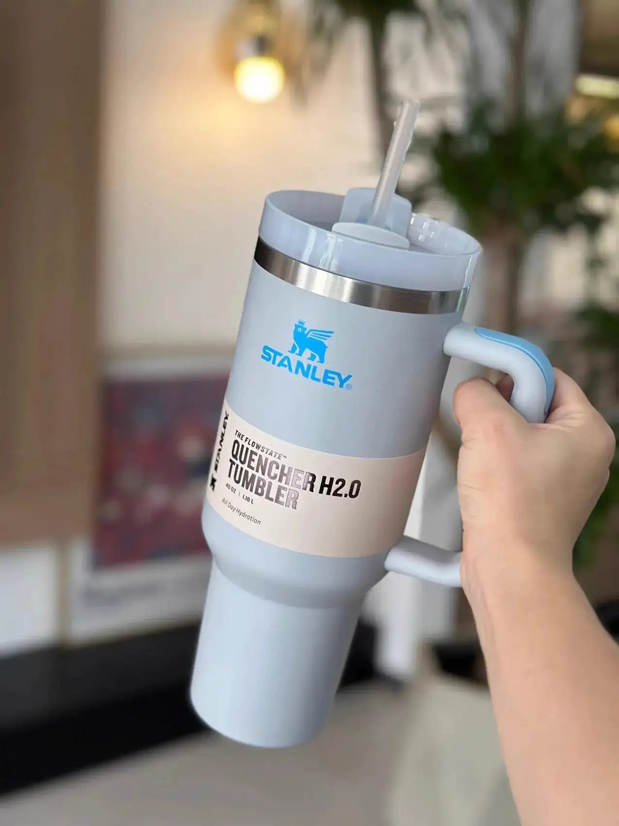 Stainless Steel Vacuum Insulated Tumbler